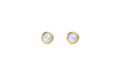 Gold-Filled Moonstone Stud Earrings