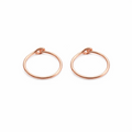 Rose Gold-Filled Small Hoop Earrings