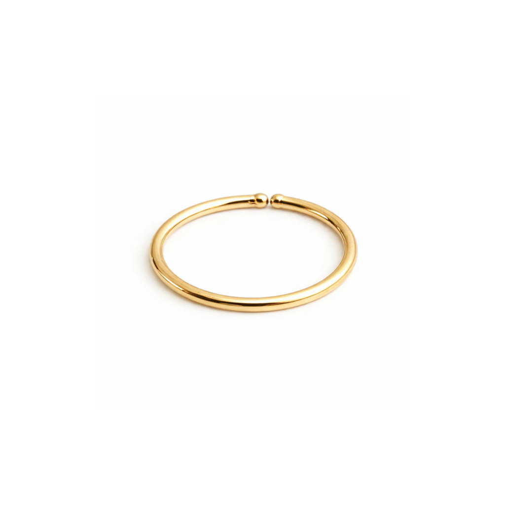 Gold-Filled Nose Hoop