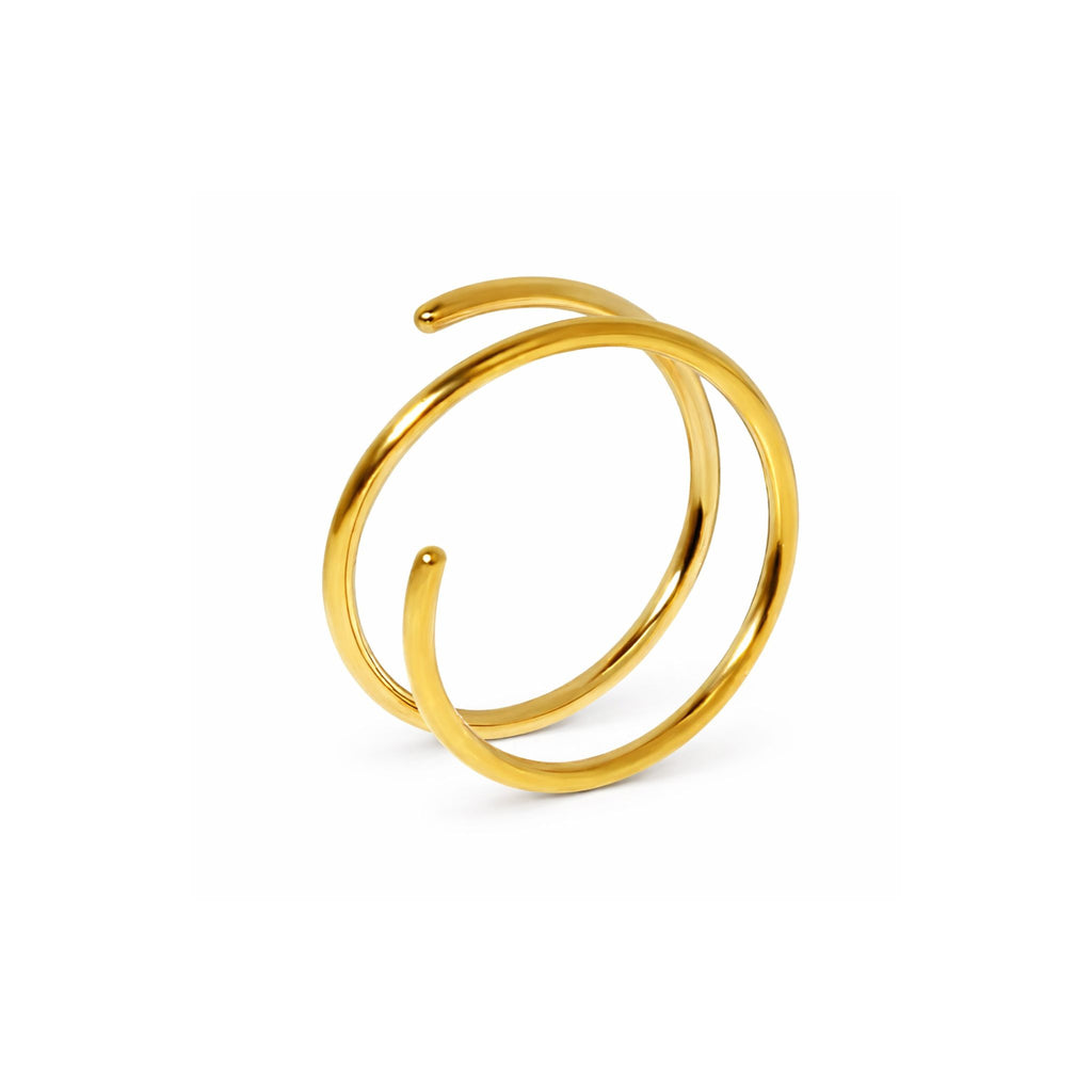 Spiral Twist Double Nose Hoop