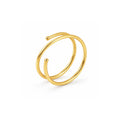Spiral Twist Double Nose Hoop