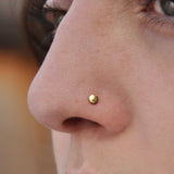 Gold Filled Disc Nose Screw for the Left Side 3 mm